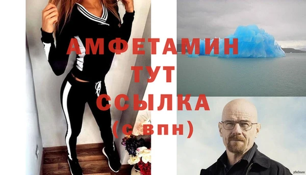Альфа ПВП Горняк