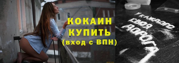 крисы Лагань