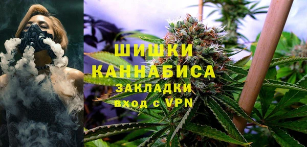 крисы Лагань