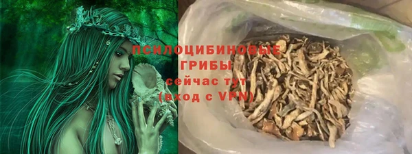 соль курить ск Горно-Алтайск