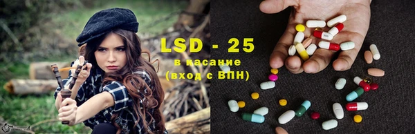 крисы Лагань