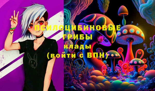 гидра Лихославль