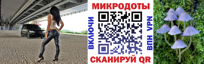 где можно купить   Данков  Псилоцибиновые грибы мухоморы 